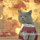 Screenshot: Iron Cat 2